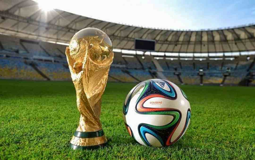 World Cup giải bóng đá được người hâm mộ mong chờ