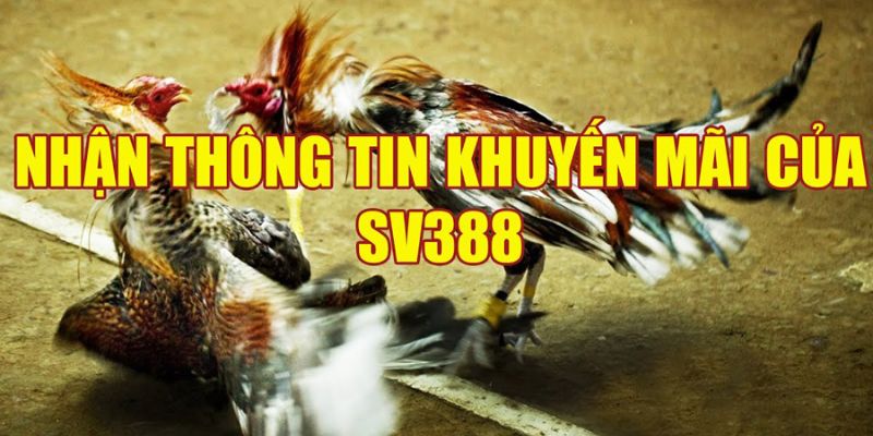 Chương trình khuyến mãi Sv388 ưu đãi tặng thưởng 100% 